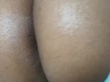  cocoa 