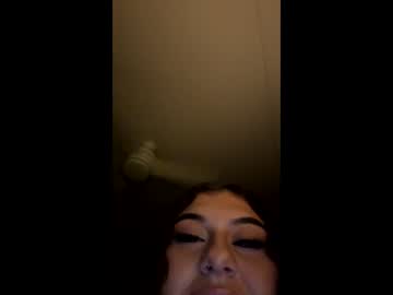 dazzlingkitten