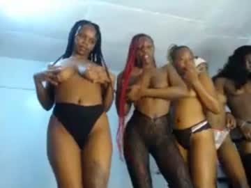 kittyrose 20